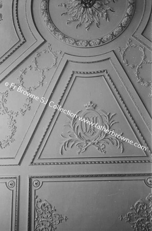 FRENCHPARK THE HOUSE DRAWING ROOM CEILING DETAIL (BADLY CENTRED)